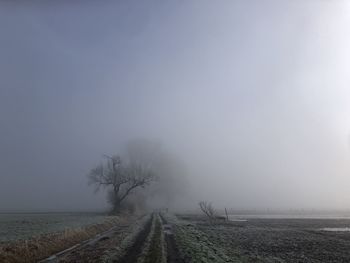 Scenic view of field against sky during winter
