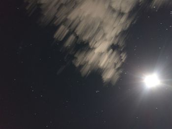 Low angle view of star field against sky at night