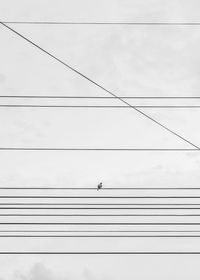 Low angle view of birds on cable against sky