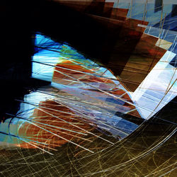 Reflection of trees in water