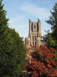 Low angle view of trees and building against sky