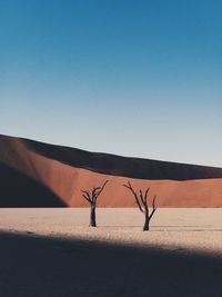 Bare trees on sand at desert against clear sky