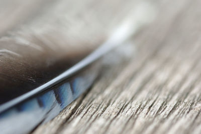 Close up of fabric