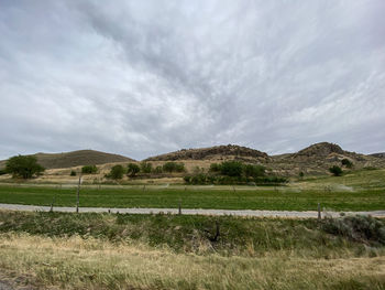 Scenic view of field against sky