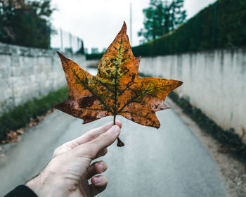 Close-up of hand holding maple leaf against lake