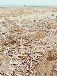 Close-up of sand on beach