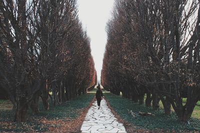 Man walking amidst trees against sky