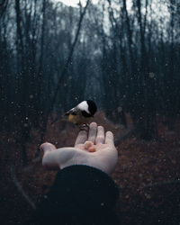 Low section of woman in water