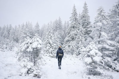 Rear view of person standing on snow covered plants