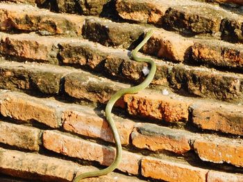 Close-up of stone wall