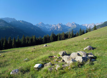 Scenic view of mountains against blue sky