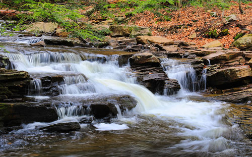 Scenic view of waterfall in forest