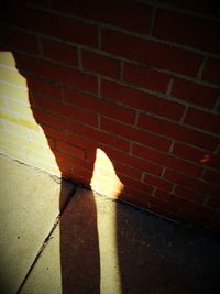 Shadow of tree on the wall