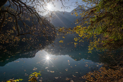 Sunlight streaming through trees against lake