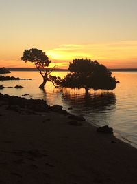 Scenic view of sea at sunset
