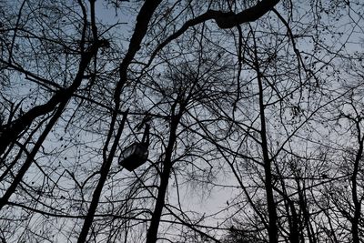 Low angle view of silhouette bare tree against sky