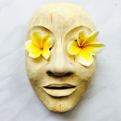 Close-up of yellow flowers against white background