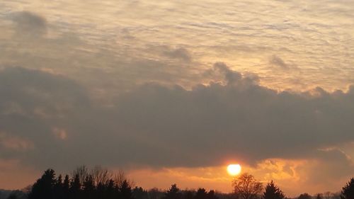 Low angle view of silhouette trees against sky during sunset