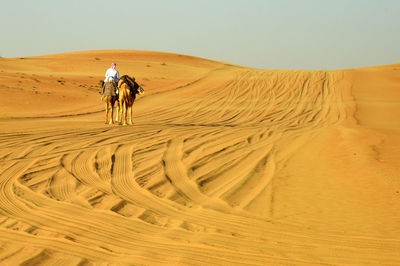 Man sitting on camel in desert