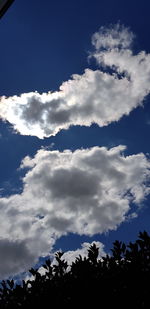 Low angle view of silhouette trees against sky