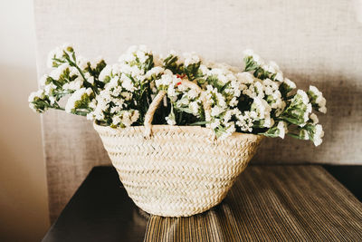 Close-up of potted plant on table