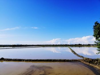 Scenic view of lake against blue sky