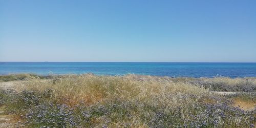 Scenic view of sea against clear sky