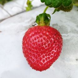 High angle view of strawberries on table