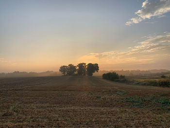 Scenic view of field against sky during sunset