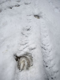 High angle view of snow covered field