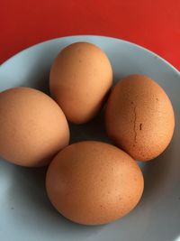 High angle view of eggs on table