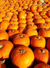 High angle view of pumpkins for sale at market stall