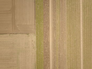 Aerial view of farm