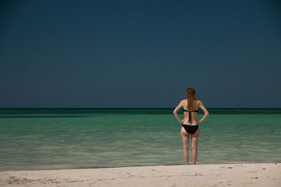 Rear view of young woman standing at beach against clear sky