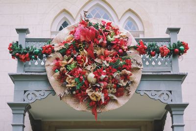 Low angle view of potted plant on balcony