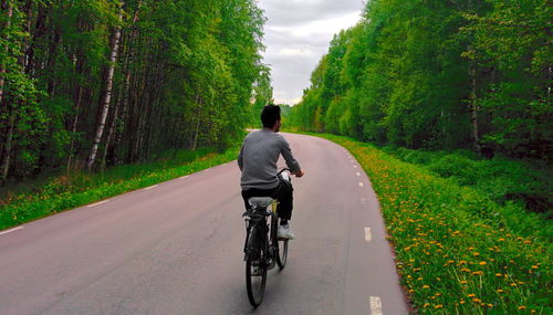 Rear view of person riding bicycle on road