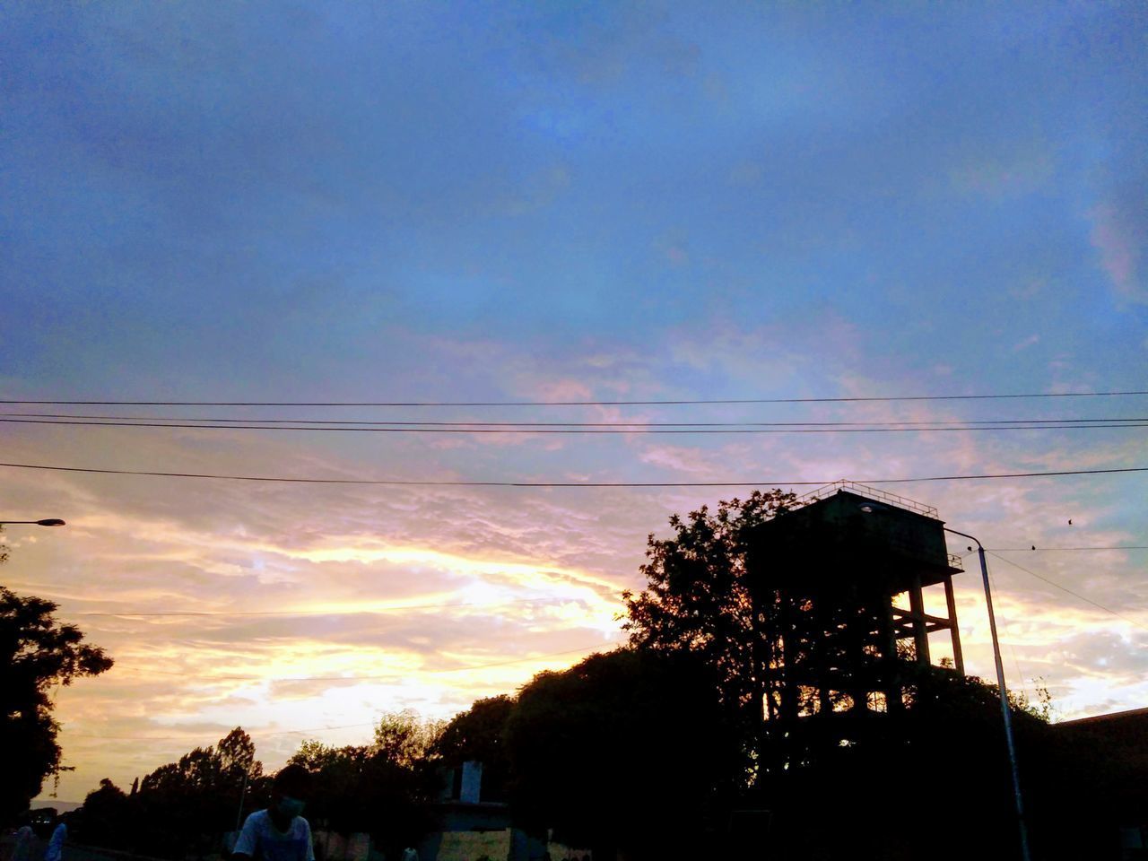 LOW ANGLE VIEW OF SILHOUETTE TREES AGAINST SKY