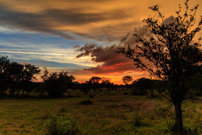 Scenic view of field against sky during sunset