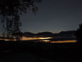 Silhouette trees against sky during sunset