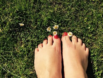 Low section of woman by daisies on sunny day