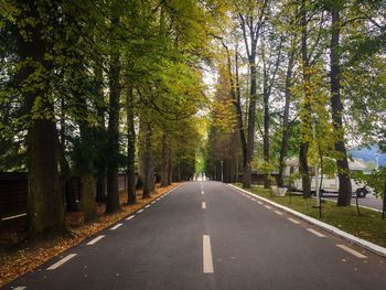 Road amidst trees against sky