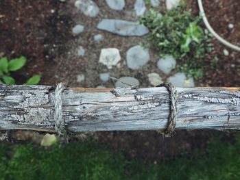 High angle view of rope on wood over footpath at park