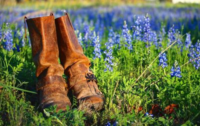 Close-up of boots with purple flowers on field