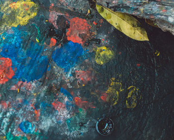 Directly above shot of leaf on colorful abstract paintings