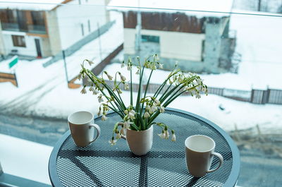 Potted plant on table by window during winter
