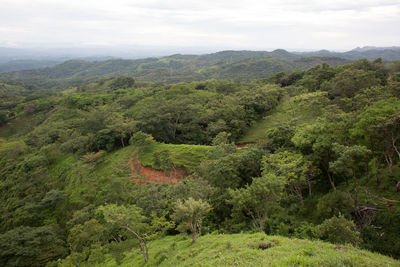 Scenic view of landscape