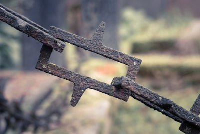 Close-up of rusty metal chain link fence in old graveyard 