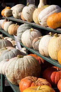 Close-up of pumpkins in market