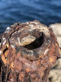 Close-up of rock on sea shore