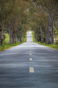 Empty road amidst trees